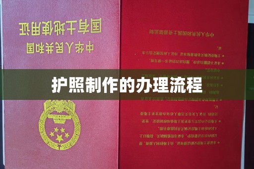 新和护照制作的办理流程