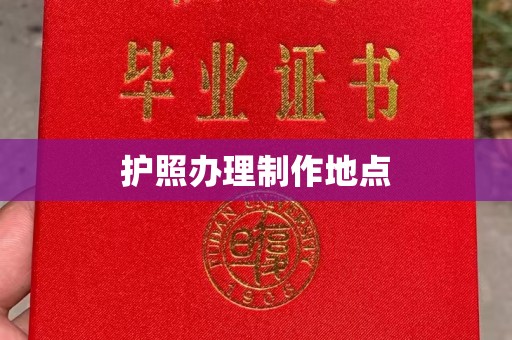 新和护照办理制作地点