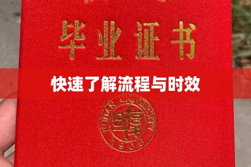 新和快速了解流程与时效