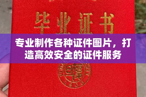 新和专业制作各种证件图片，打造高效安全的证件服务