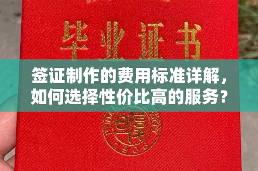 新和签证制作的费用标准详解，如何选择性价比高的服务？